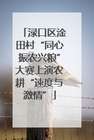 渌口区淦田村“同心振农兴粮”大赛上演农耕“速度与激情”